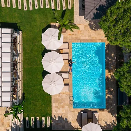 Hotel Wind Of
